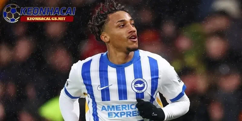 Chelsea quyết tâm chiêu mộ Joao Pedro trước thềm FIFA Club World Cup