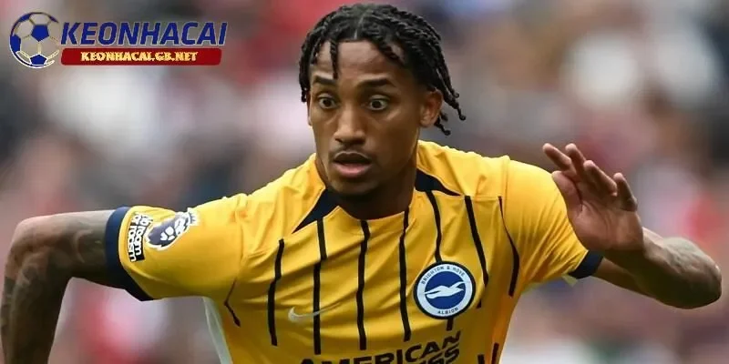 Brighton thét giá cực cao đối với Joao Pedro Brighton thét giá cực cao đối với Joao Pedro