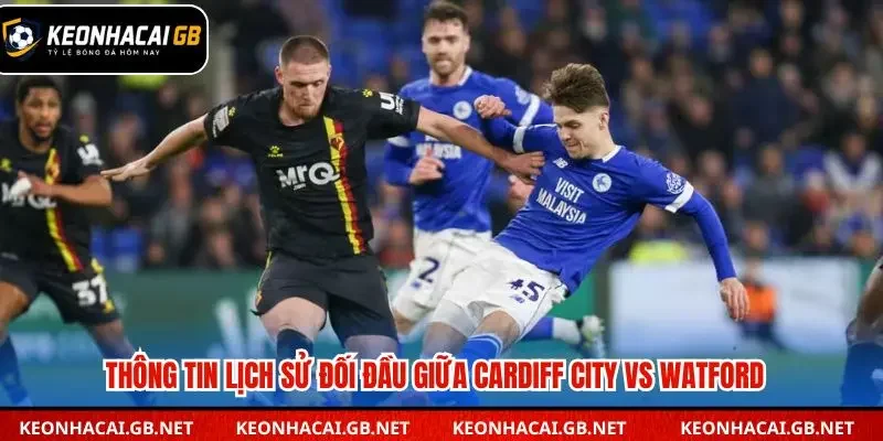 Thống kê các lần đối đầu giữa Cardiff City và Watford 