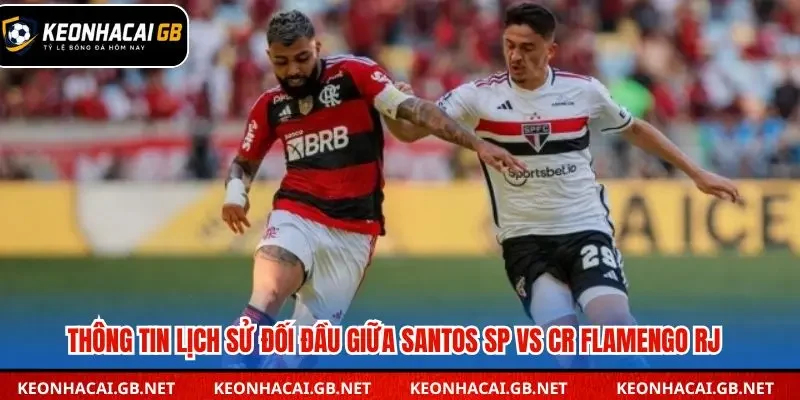 Thống kê các lần gặp gần đây giữa Santos và Flamengo 